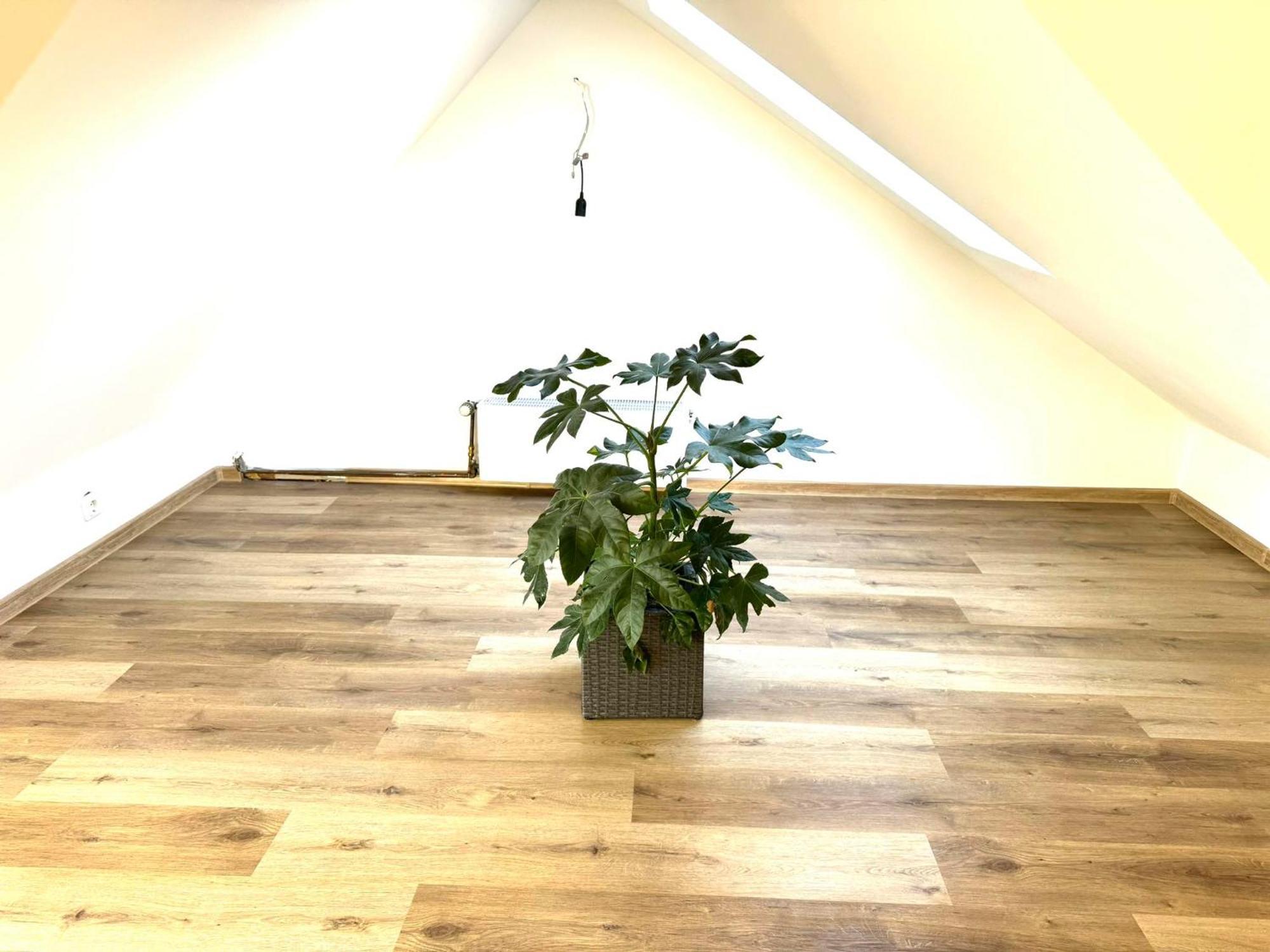 Ferienhaus Dierdorf المظهر الخارجي الصورة